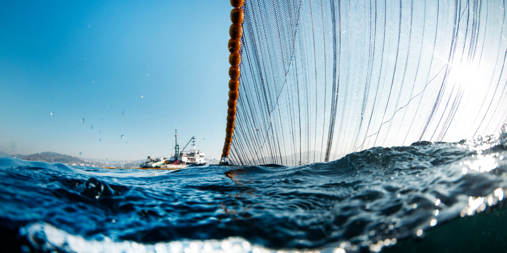 Large fishing net in the ocean, illustrating the impact of overfishing on marine ecosystems and biodiversity.