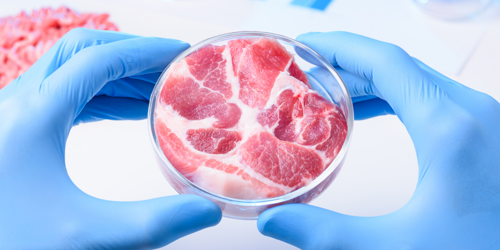 A petri dish of lab grown meat held by a scientist wearing blue gloves