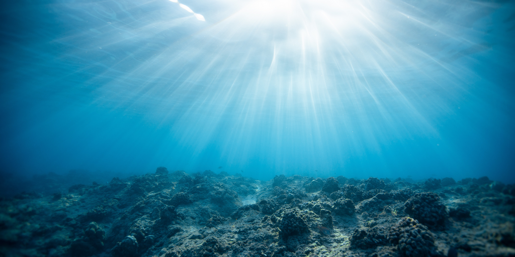 Ocean floor with sunburst in the center.