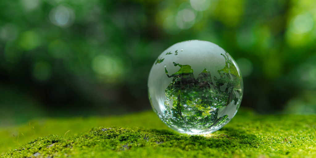 Glass globe on moss with a green blurred background, symbolizing sustainability and environmental awareness