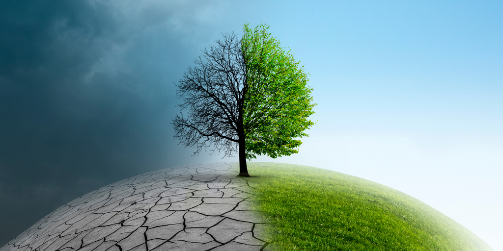 Contrasting views: left side, dead tree & dry ground under a blackened sky; right side, lush green grass & blue sky teeming with life